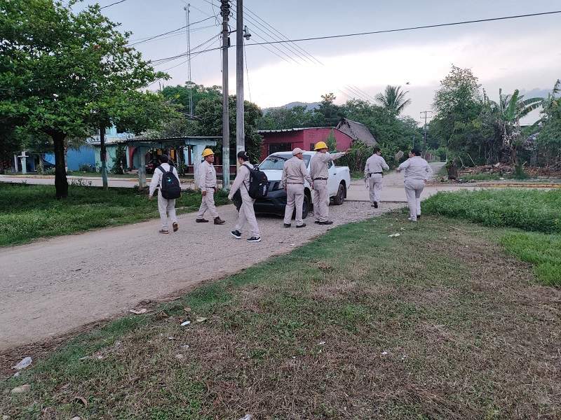 Combaten dengue con tamizaje de insecticidas