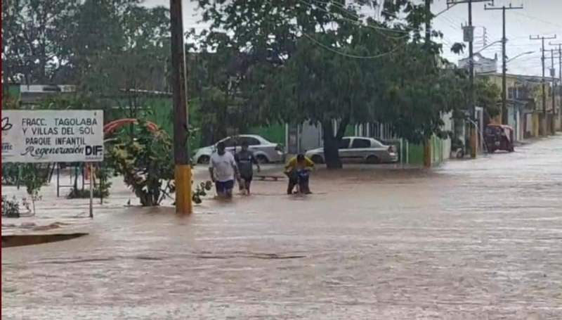 Encharcamientos, caídas de árboles y deslaves deja lluvia en Oaxaca