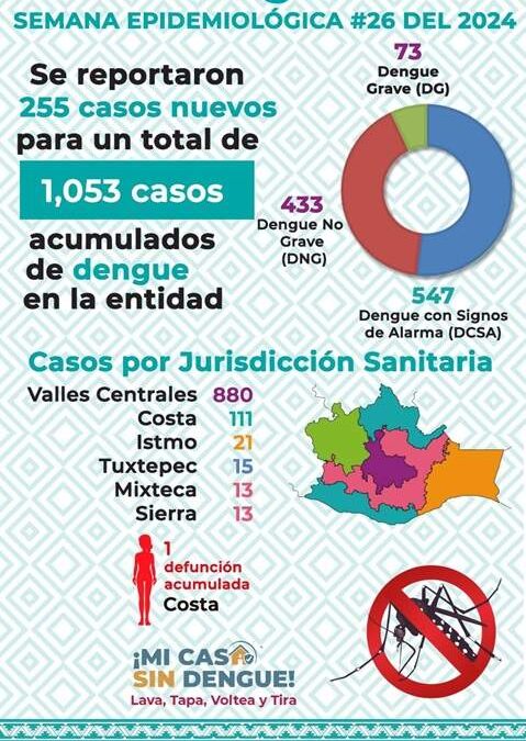 Registra SSO 255 casos nuevos de dengue