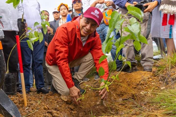 Arranca Mega Tequio de Reforestación en el Polígono de Monte Albán