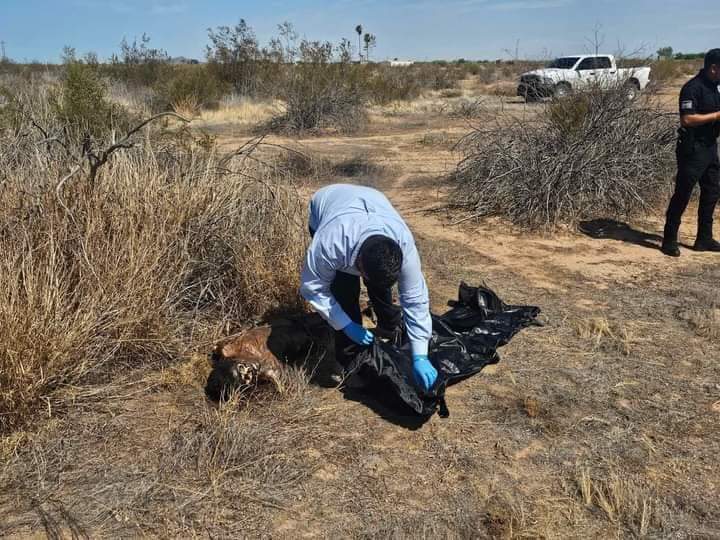 Cuatro personas fueron asesinadas en Oaxaca el viernes