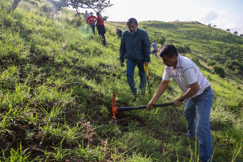 Este domingo se llevará a cabo el Megatequio para reforestar polígono de Monte Albán