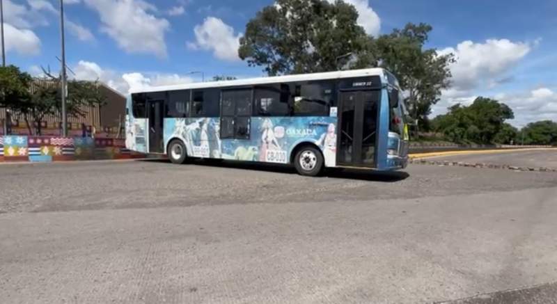 Por bloqueo en accesos del cerro del fortín, SICT interpusieron 18 denuncias contra colonos