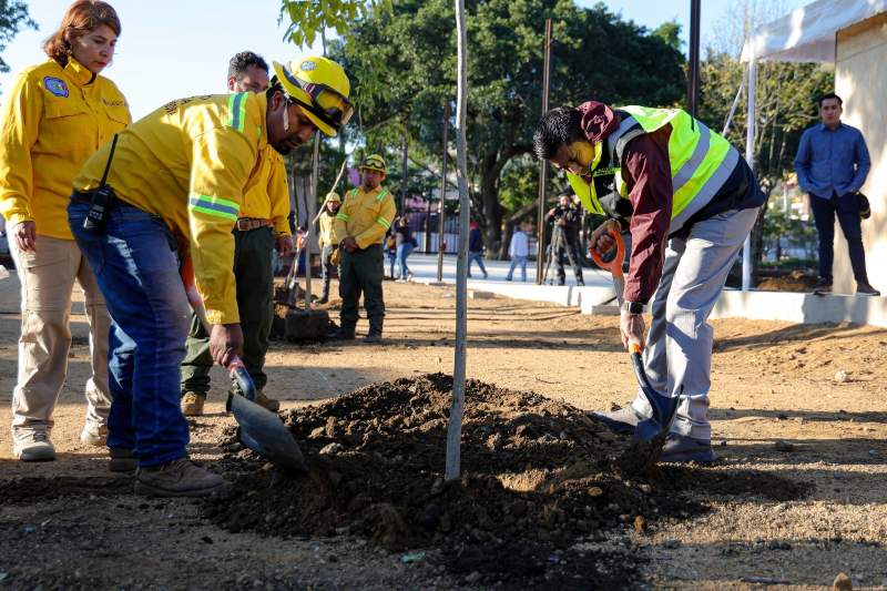 Con Mega Tequio reforestan el Parque Primavera Oaxaqueña previo a su inauguración