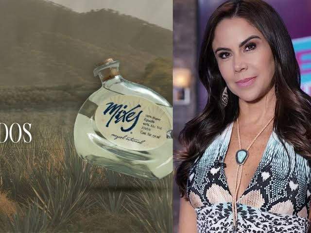 Confirma Jara que buscarán desaparecer la marca del mezcal Mixes