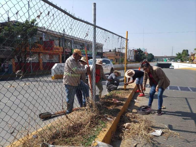 Continúan acciones de mantenimiento urbano en beneficio de las y los capitalinos