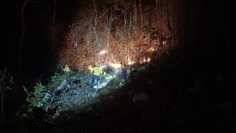 Controla Coesfo incendio forestal en San Juan Bautista Tuxtepec