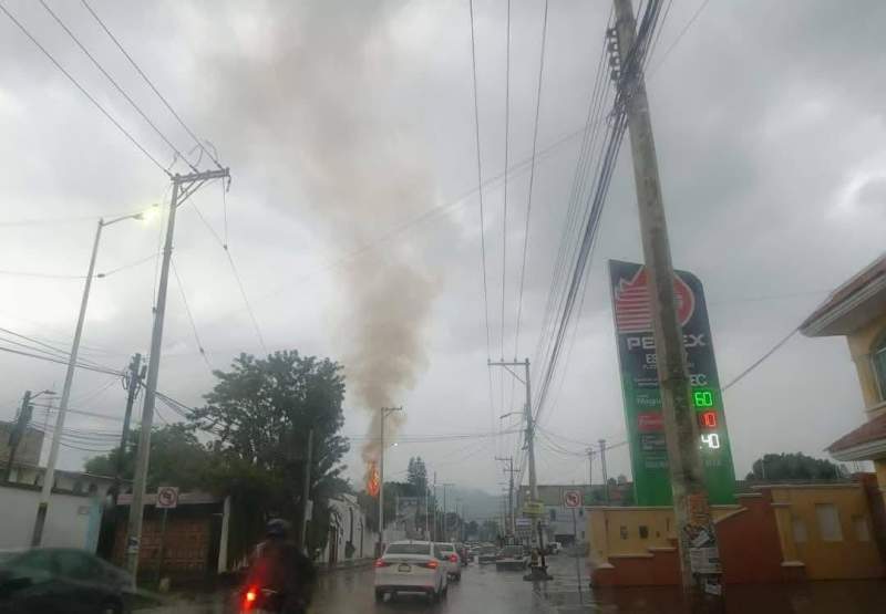 Cae un rayo en un pino en Santa Cruz Xoxocotlán