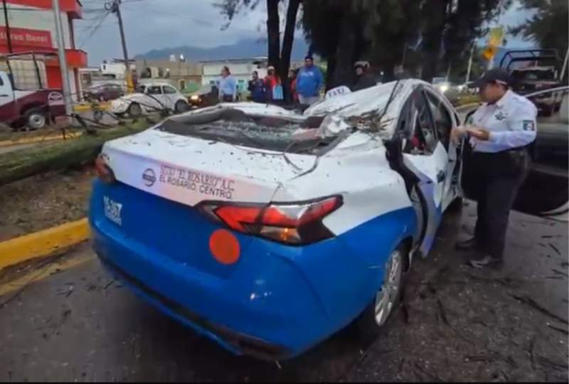 Cae un árbol en Santa Lucía y y deja un taxi dañado y al menos dos heridos