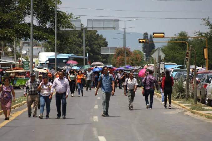 Más de un millón de niños del nivel básico se quedarán sin clases en Oaxaca por paro de la Sección 22