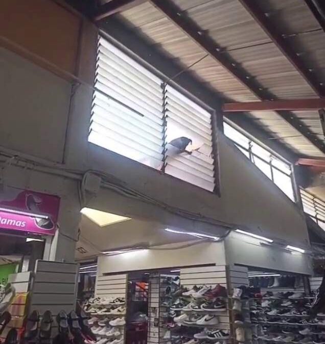 Rescatan Defensores Municipales y Protección Civil a canino en riesgo en el Mercado de Abasto.