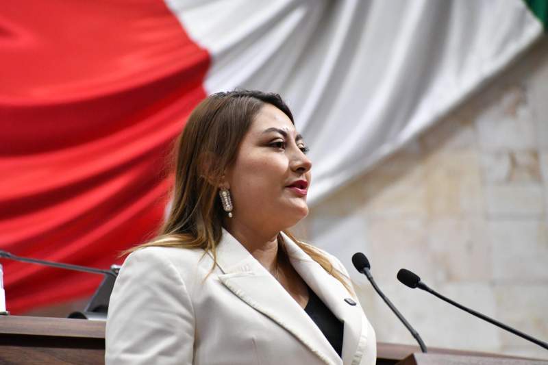 Propone Daniela Taurino restricciones para las personas inscritas en el Registro de Deudores Alimentarios Morosos.