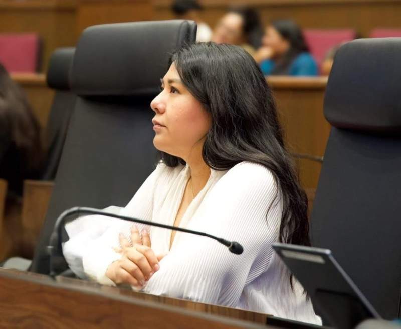 Paquete Fiscal 2026 muestra un crecimiento responsable, sostenido y con alto contenido social: diputada Tania Caballero Navarro