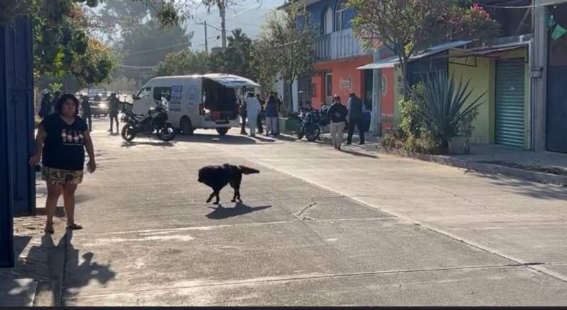 hallan-muerto-a-un-hombre-en-cinco-senores