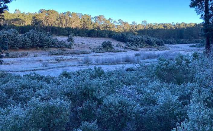 Se reportan bajas temperaturas en algunos municipios de Oaxaca