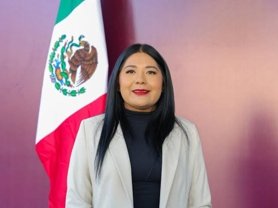 La reforma electoral dejó en claro que hay prioridades y visiones diferentes con el Verde y el PT: Tania Caballero